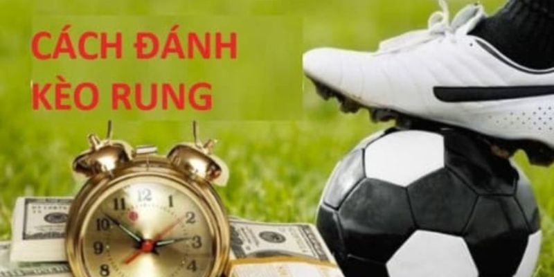 Hướng dẫn hội viên cách tính tiền kèo rung là gì